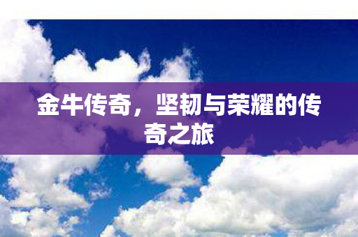 坚韧与荣耀的传奇之旅图片