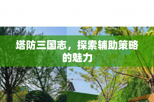 探索辅助策略的魅力图片