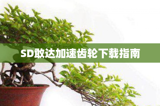 SD敢达加速齿轮下载指南图片