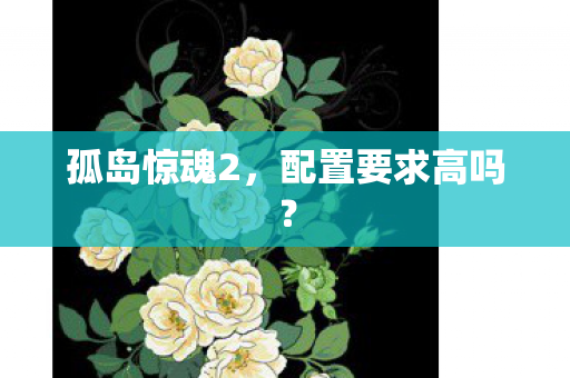配置要求高吗图片
