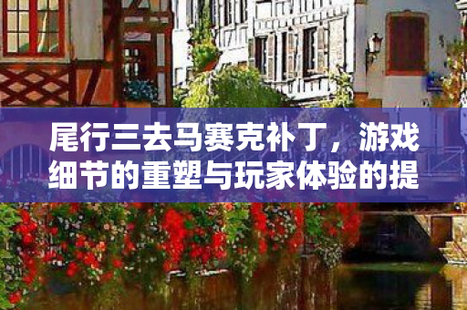 游戏细节的重塑与玩家体验的提升图片