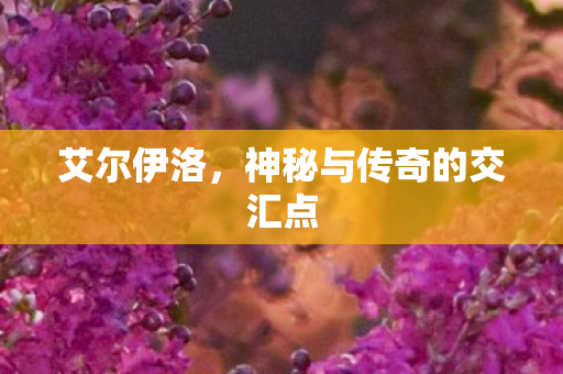 神秘与传奇的交汇点图片
