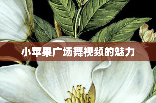 小苹果广场舞视频的魅力图片
