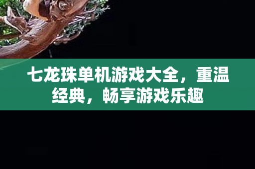 七龙珠单机游戏大全图片