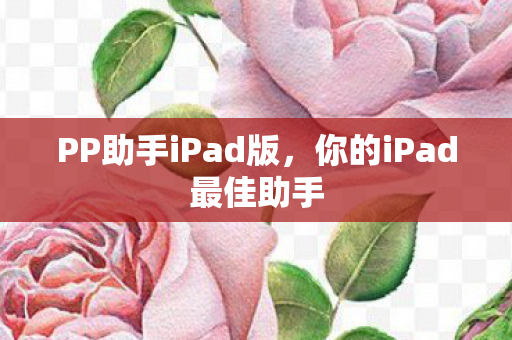 你的iPad最佳助手图片