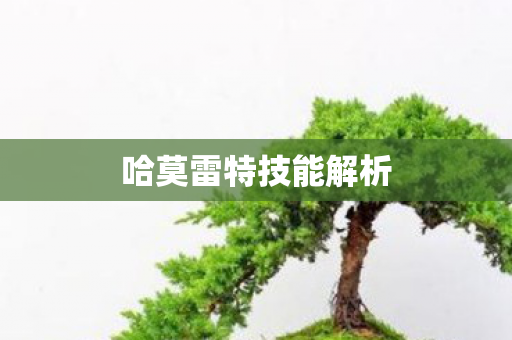 哈莫雷特技能解析图片