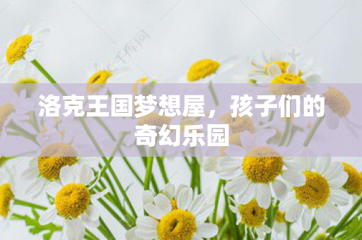 孩子们的奇幻乐园图片