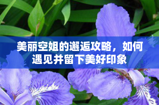 如何遇见并留下美好印象图片
