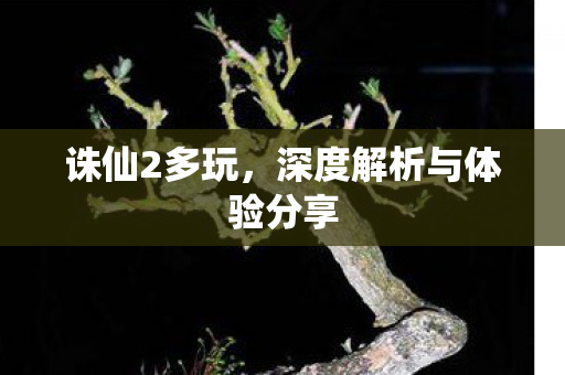 深度解析与体验分享图片