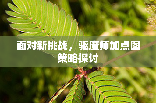 驱魔师加点图策略探讨图片