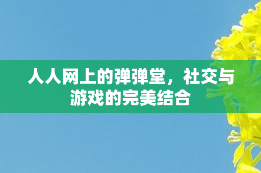 社交与游戏的完美结合图片