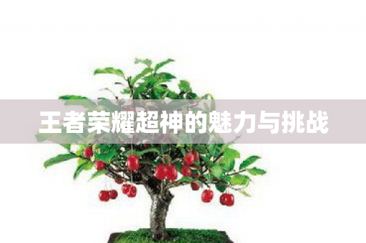 王者荣耀超神的魅力与挑战图片