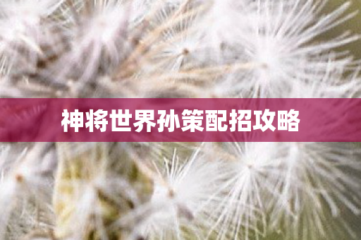 神将世界孙策配招攻略图片