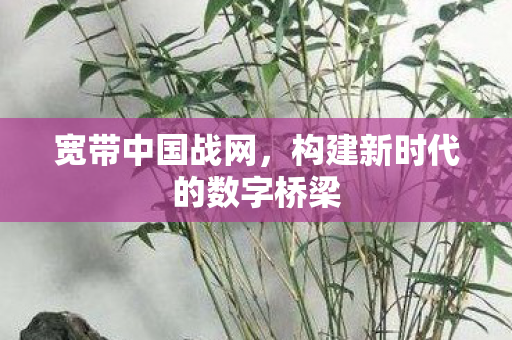 构建新时代的数字桥梁图片