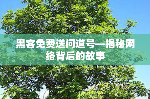 揭秘网络背后的故事图片