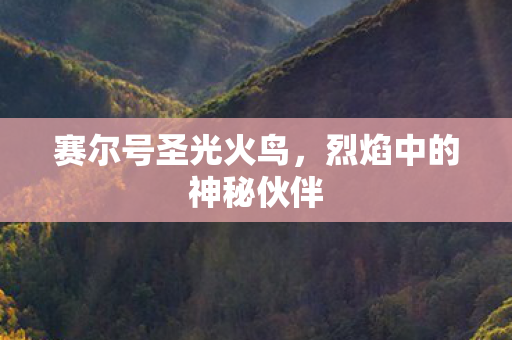 烈焰中的神秘伙伴图片