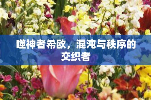 混沌与秩序的交织者图片