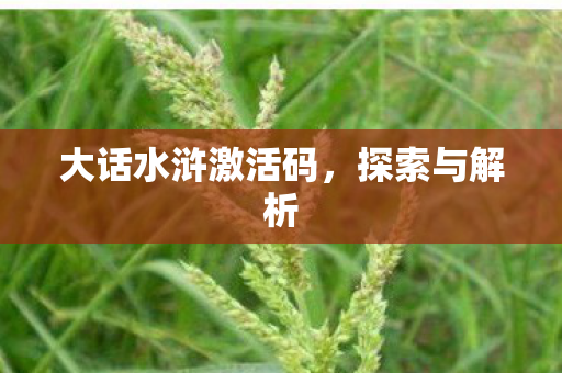 大话水浒激活码图片