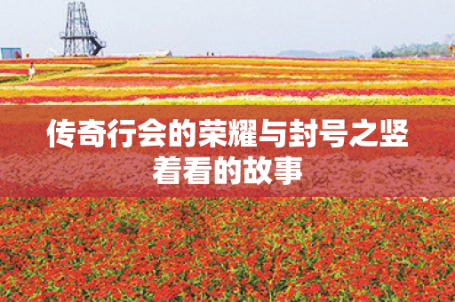 传奇行会的荣耀与封号之竖着看的故事图片
