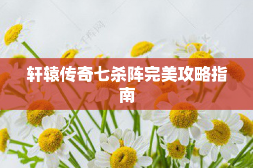 轩辕传奇七杀阵完美攻略指南图片