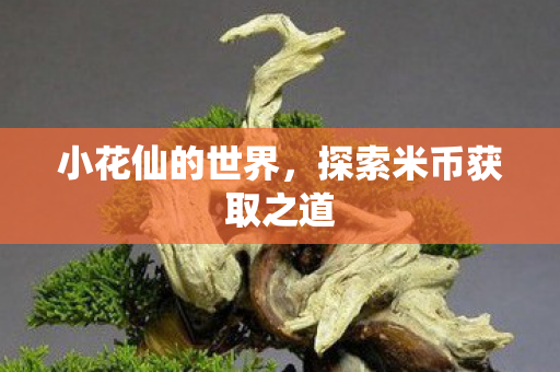 探索米币获取之道图片