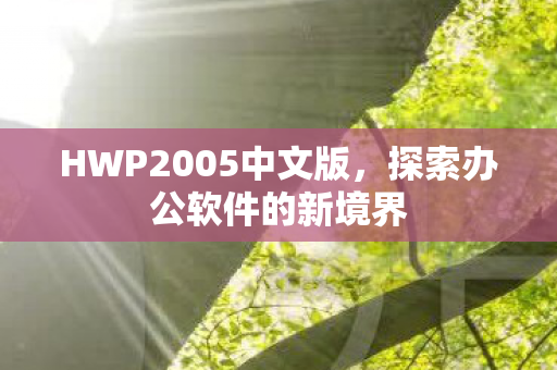 HWP2005中文版图片