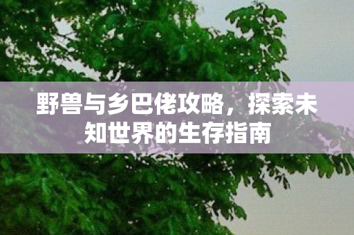 探索未知世界的生存指南图片