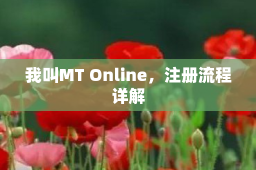 我叫MT Online图片