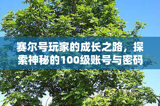 探索神秘的100级账号与密码图片