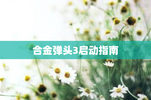 合金弹头3启动指南图片