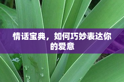 如何巧妙表达你的爱意图片