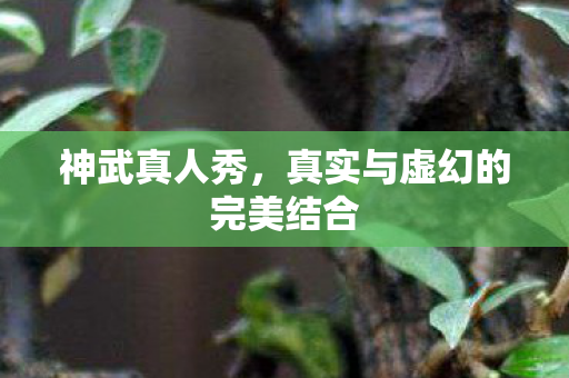 真实与虚幻的完美结合图片