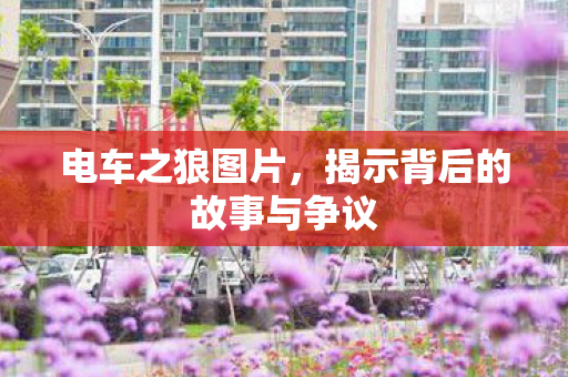 揭示背后的故事与争议图片