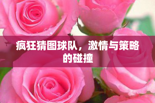 激情与策略的碰撞图片