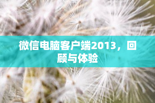 微信电脑客户端2013图片