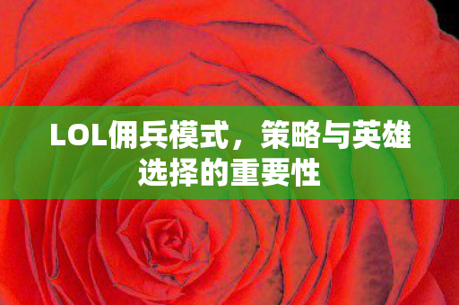 策略与英雄选择的重要性图片