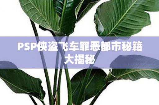 PSP侠盗飞车罪恶都市秘籍大揭秘图片