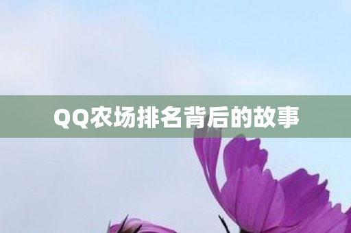 QQ农场排名背后的故事图片