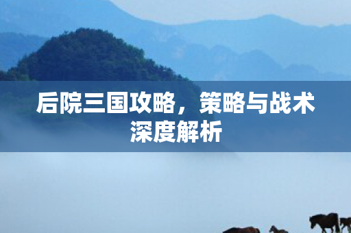 策略与战术深度解析图片