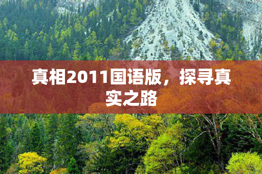 真相2011国语版图片