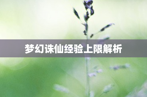梦幻诛仙经验上限解析图片