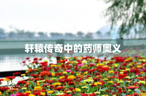 轩辕传奇中的药师奥义图片