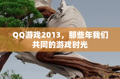 那些年我们共同的游戏时光图片