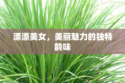 美丽魅力的独特韵味图片