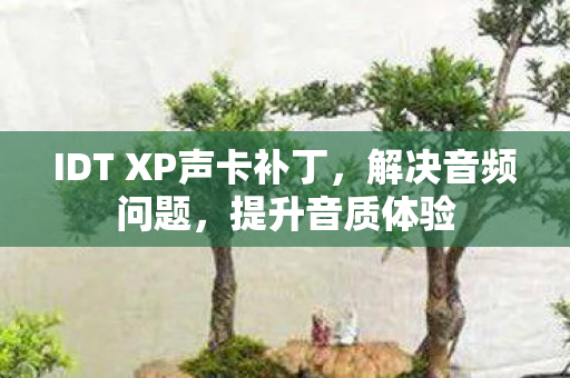 IDT XP声卡补丁图片