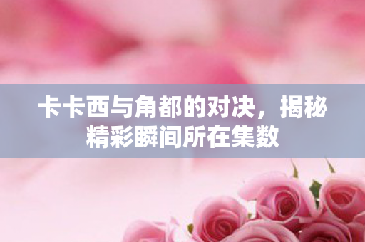 揭秘精彩瞬间所在集数图片