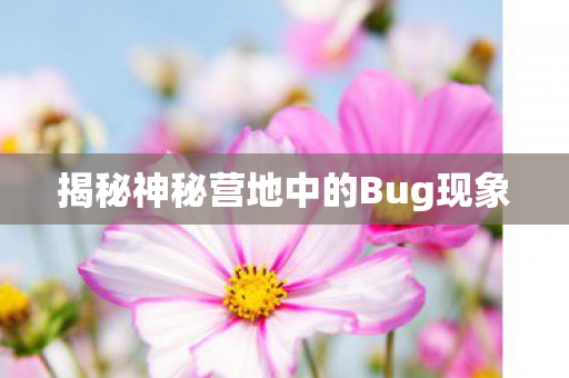 揭秘神秘营地中的Bug现象图片