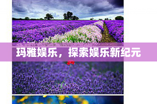 探索娱乐新纪元图片