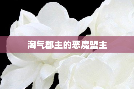 淘气郡主的恶魔盟主图片