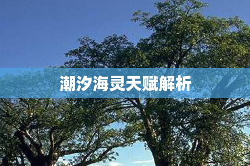 潮汐海灵天赋解析图片